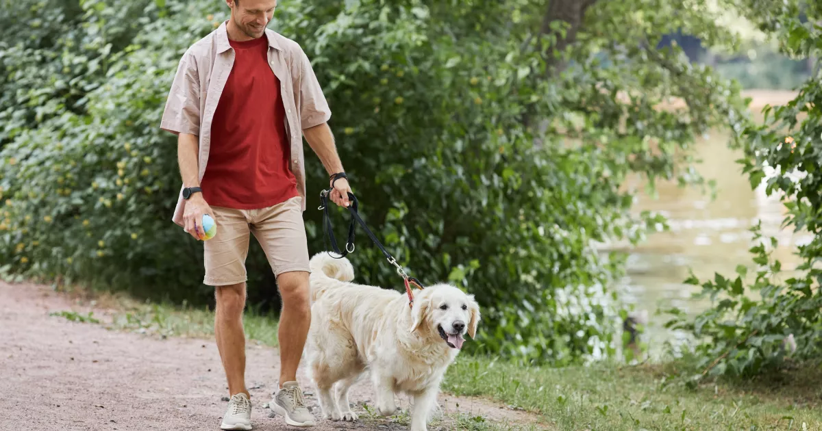 full-length-portrait-smiling-man-walking-dog-outdoors-summer-green-park-copy-space (1).jpg