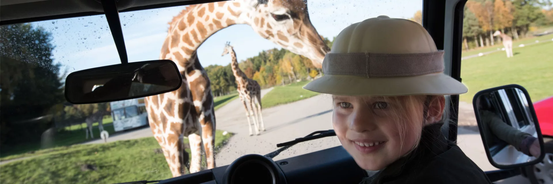 Ostafrika Giraffe Auto