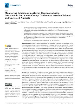 Monitoring Behaviour in African Elephants during Introduction into a New Group