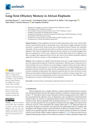 Long-term olfactory memory in African elephants Long-term olfactory memory in African elephants