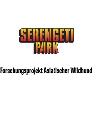 Forschungsprojekt Asiatischer Windhund Forschungsprojekt Asiatischer Windhund